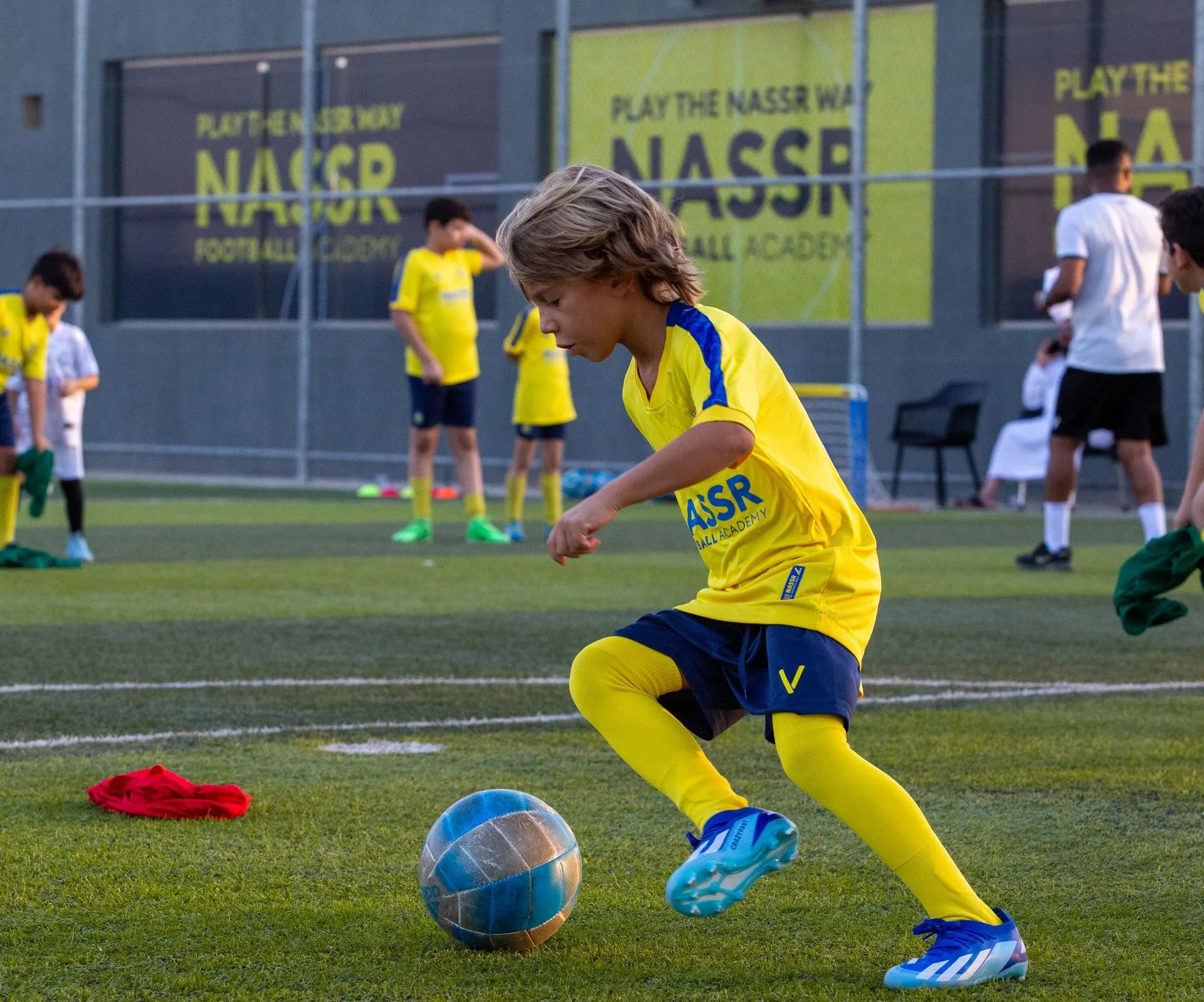 Professional Training